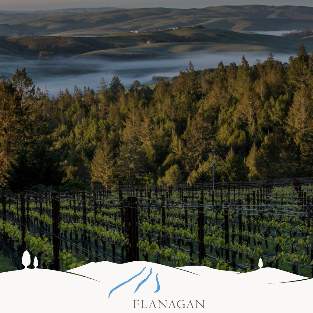 Flanagan Winery